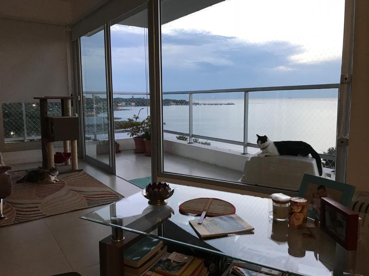 Luz De Jacinta Apartment โกโลเนีย เดล ซากราเมนโต ภายนอก รูปภาพ